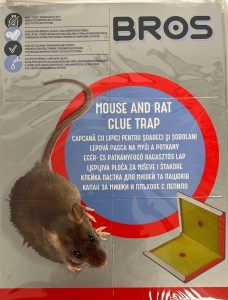 BROS EGÉRFOGÓ RAGASZTÓS LAP MOGYORÓ AROMÁVAL