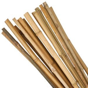 KARÓ BAMBUSZ 1,5 M, D=12-14 MM, 10 DB/CS