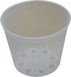 VIRÁGCSERÉP ORCHIDEA 20 CM IP